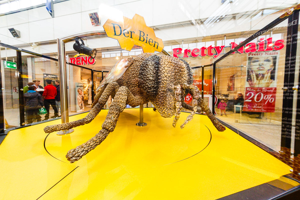 Schaukasten "Der Bien"