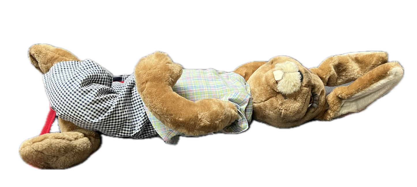 Hase unbeweglich liegend