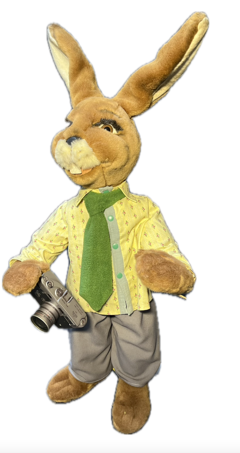 Hase mit Kleinbildkamera