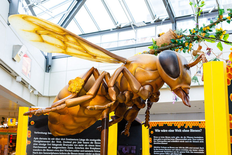 Bienenausstellung