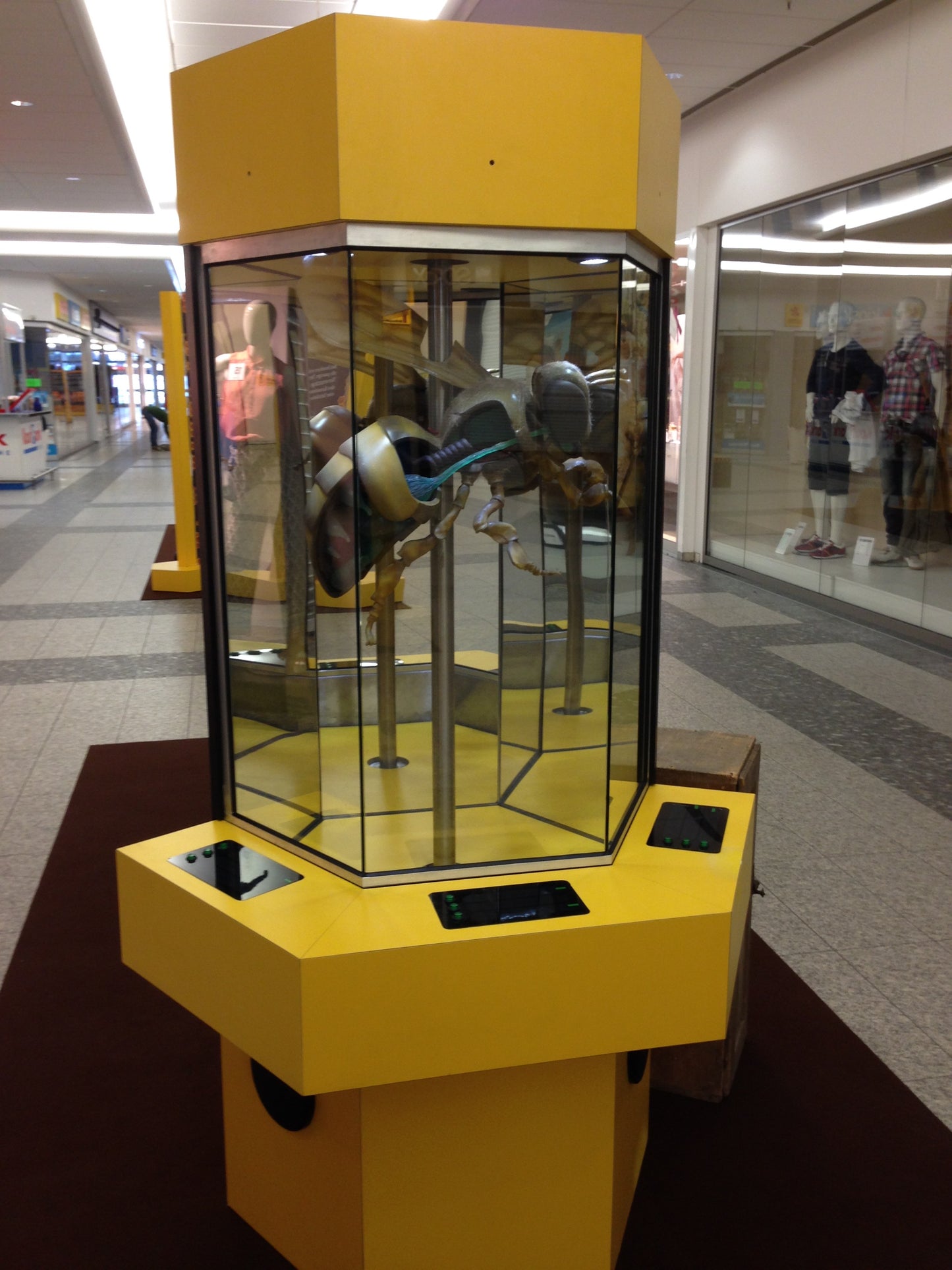 Biene Anatomiesäule