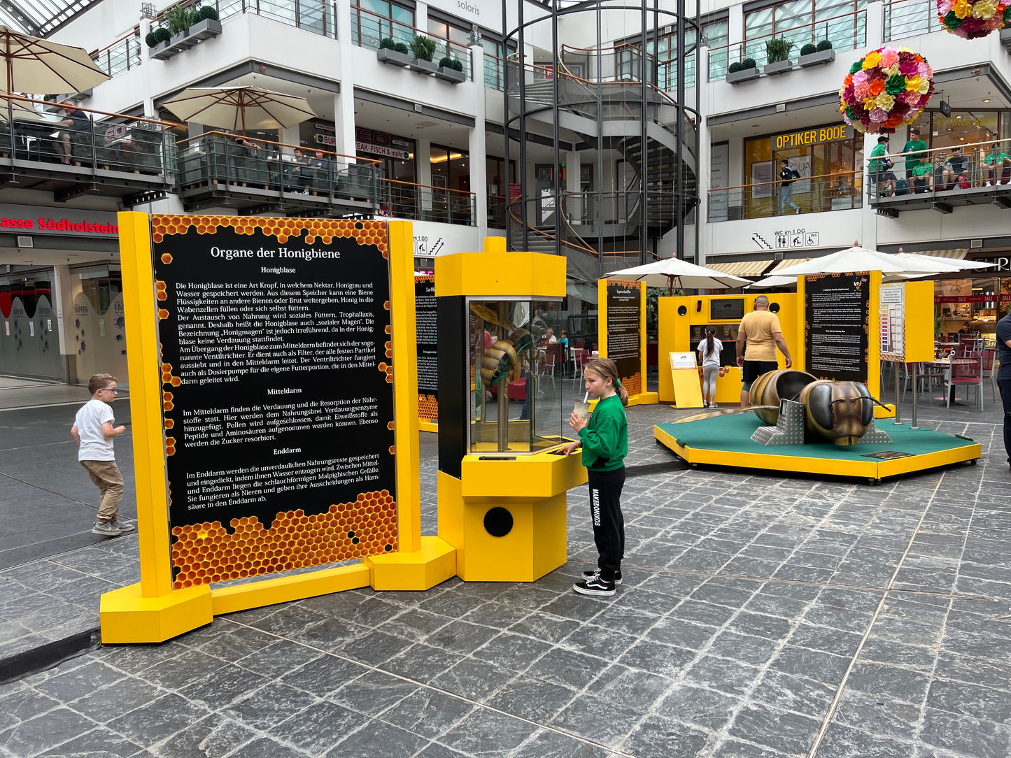 Biene Anatomiesäule