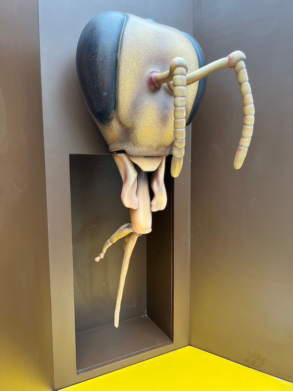 Bienenkopf mit Rüssel