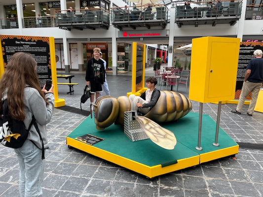 Die Ruderbiene Kraftmessgerät