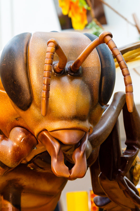 Biene 250 fach vergrößert auf Drehbühne