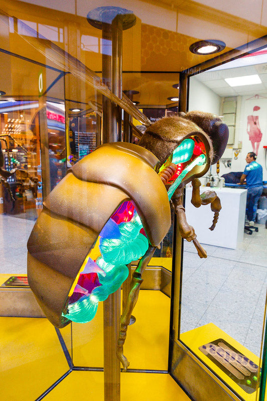 Biene Anatomiesäule