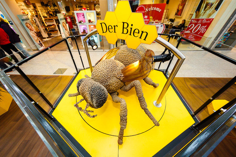 Schaukasten "Der Bien"