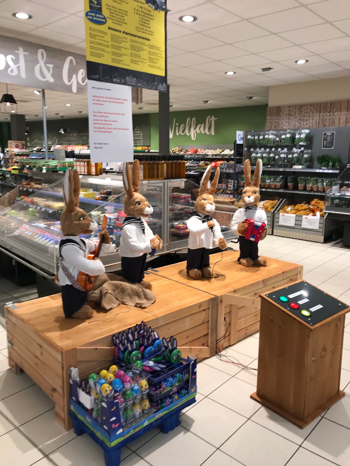 Singende musizierende Hasen "Chanty Hasen"