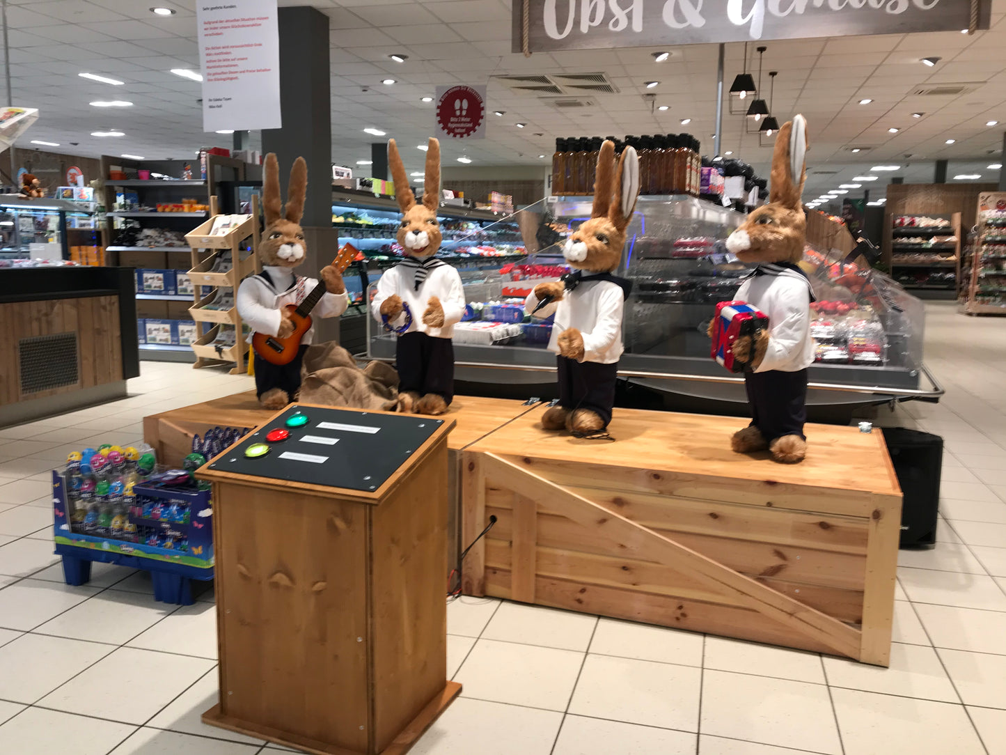 Singende musizierende Hasen "Chanty Hasen"