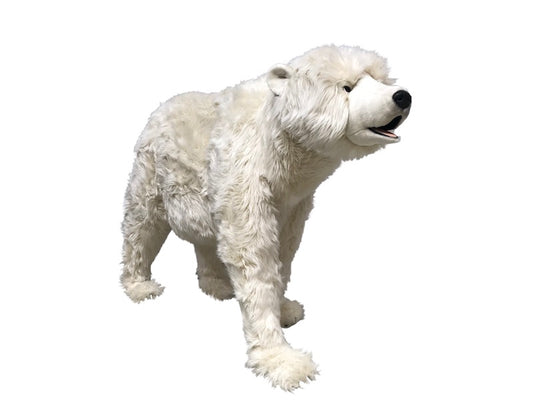 Eisbär auf 4 Pfoten (gebraucht Verkauf aus unserem Vermietungsbestand)