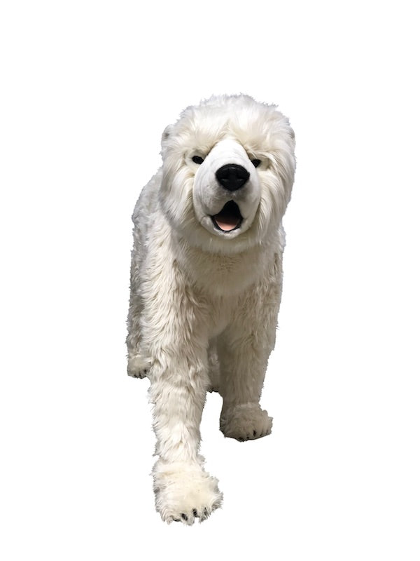 Eisbär auf 4 Pfoten (gebraucht Verkauf aus unserem Vermietungsbestand)