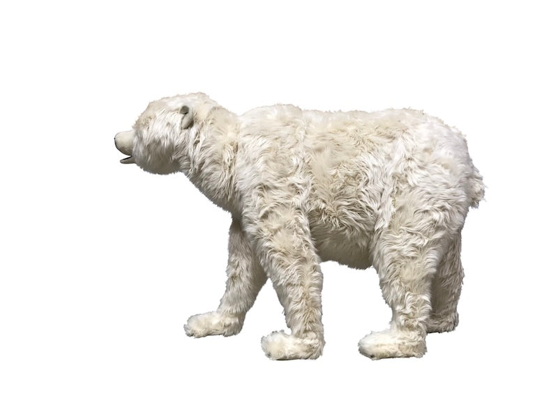 Eisbär auf 4 Pfoten (gebraucht Verkauf aus unserem Vermietungsbestand)