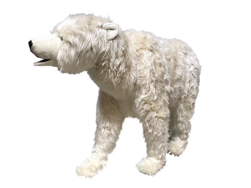 Eisbär auf 4 Pfoten (gebraucht Verkauf aus unserem Vermietungsbestand)