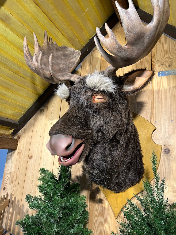 Elchkopf sprechend als Animationsfigur mit 10 Bewegungen