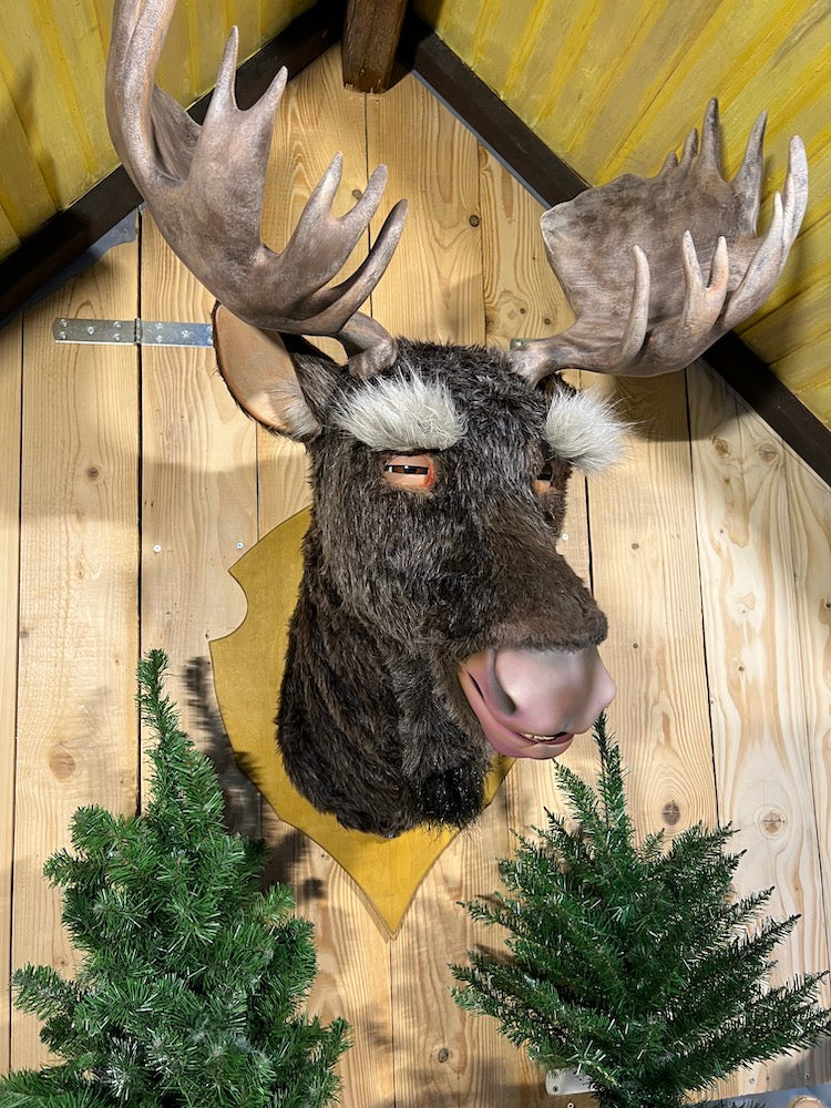 Elchkopf sprechend als Animationsfigur mit 10 Bewegungen