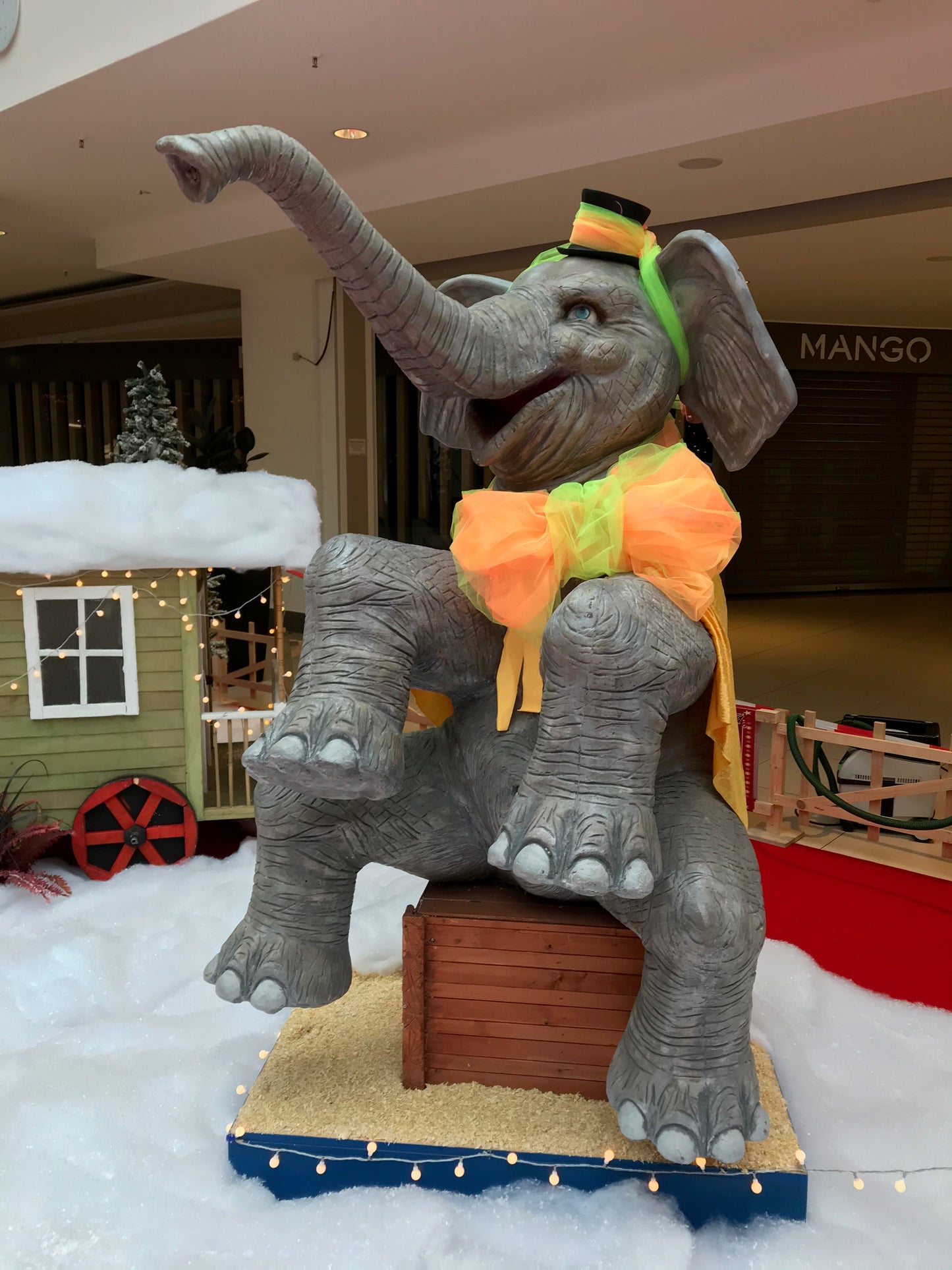 Elefant mit Kopfbewegung