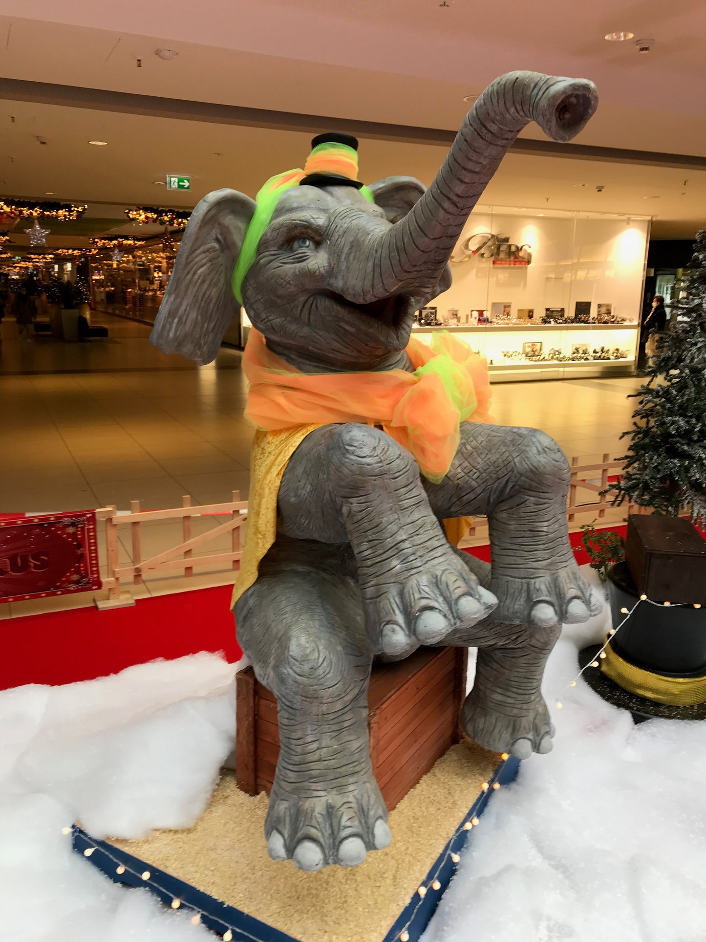 Elefant mit Kopfbewegung