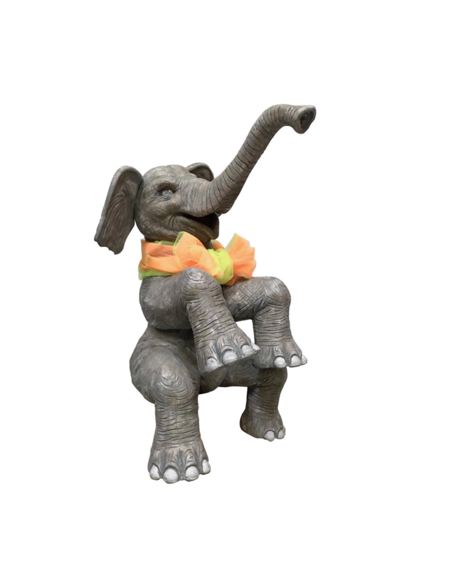 Elefant mit Kopfbewegung