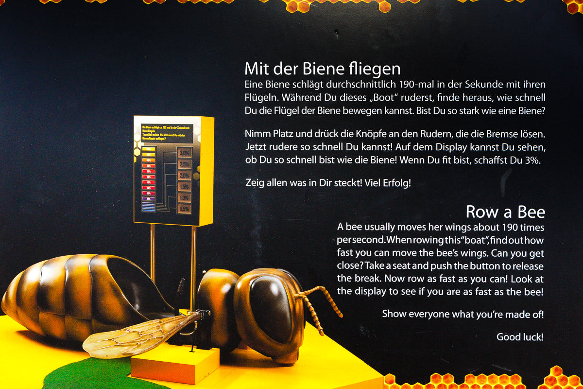 Die Ruderbiene Kraftmessgerät