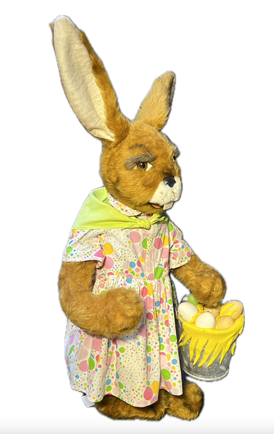 Hase / Häsin sammelt Eier im Zinkeimer