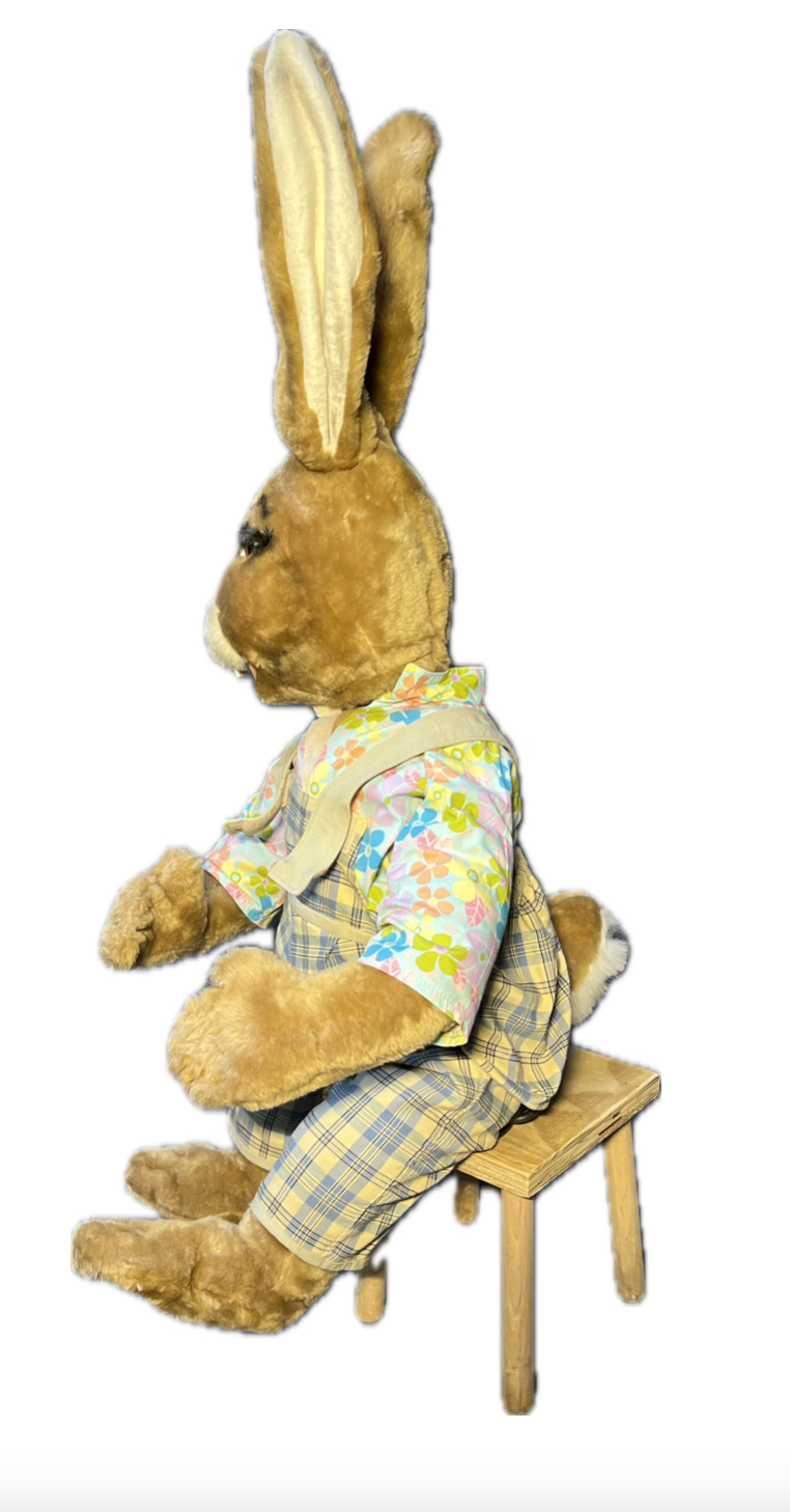 Hase sitzend auf Hocker