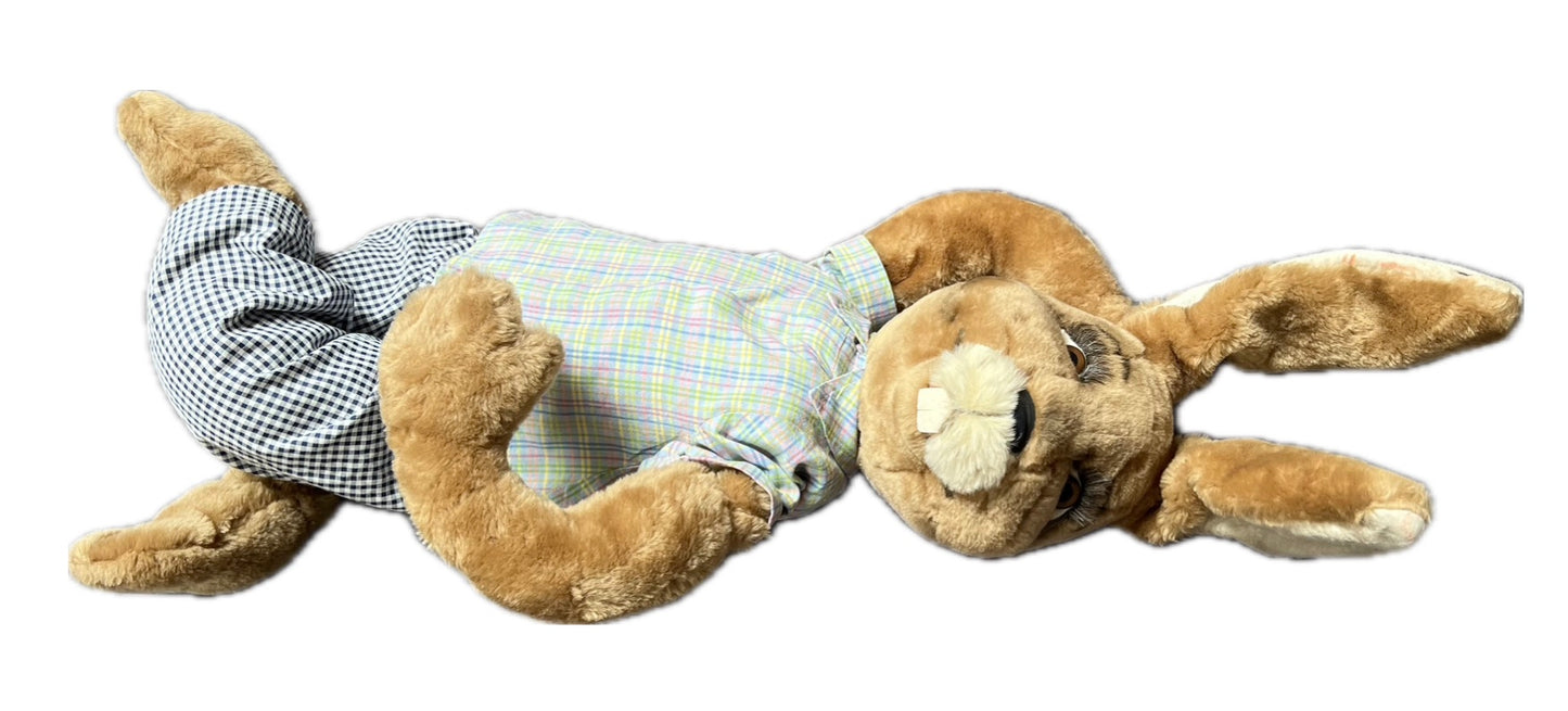 Hase unbeweglich liegend