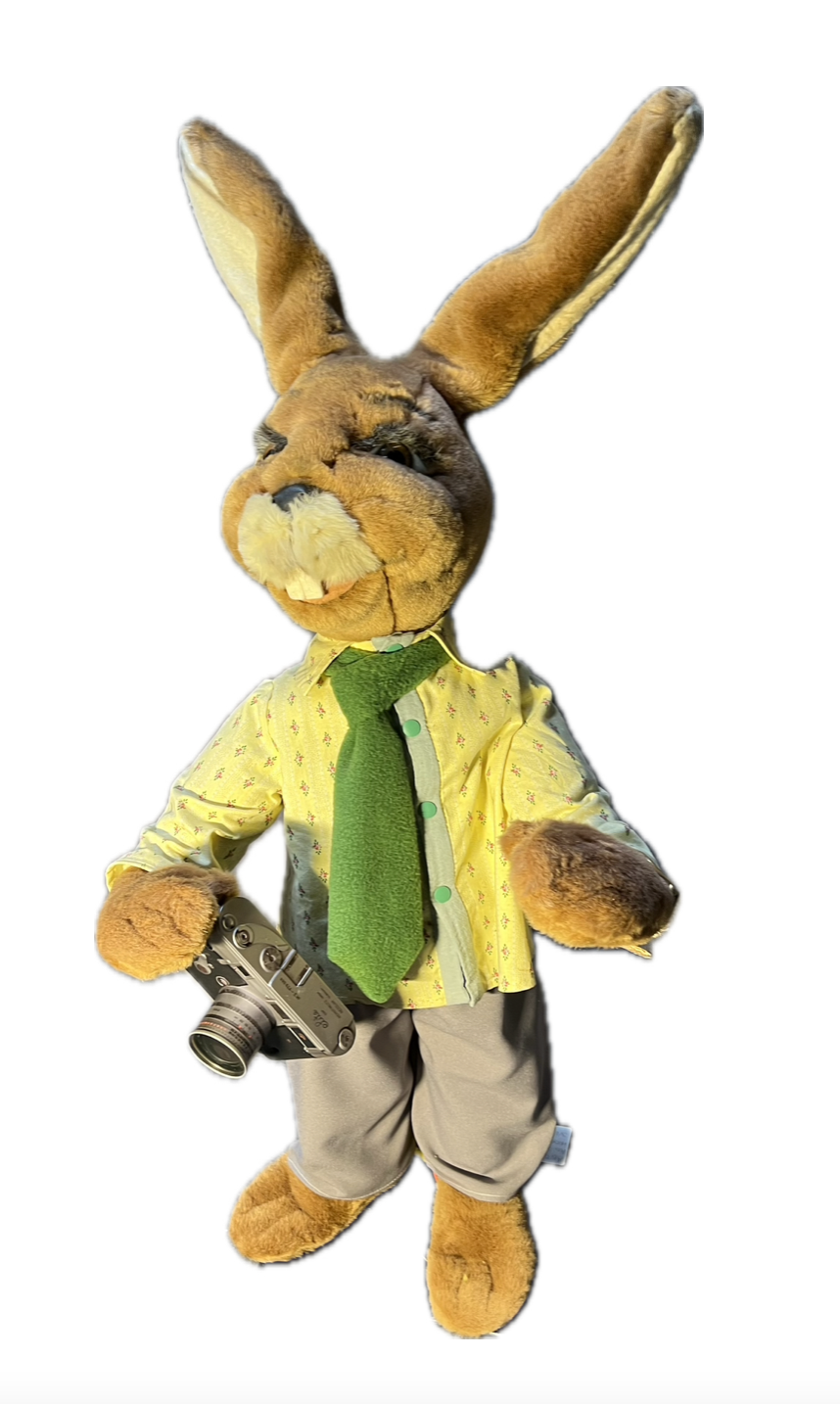 Hase mit Kleinbildkamera