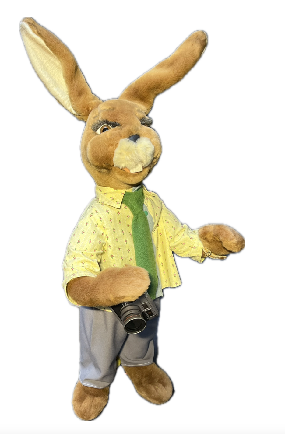 Hase mit Kleinbildkamera