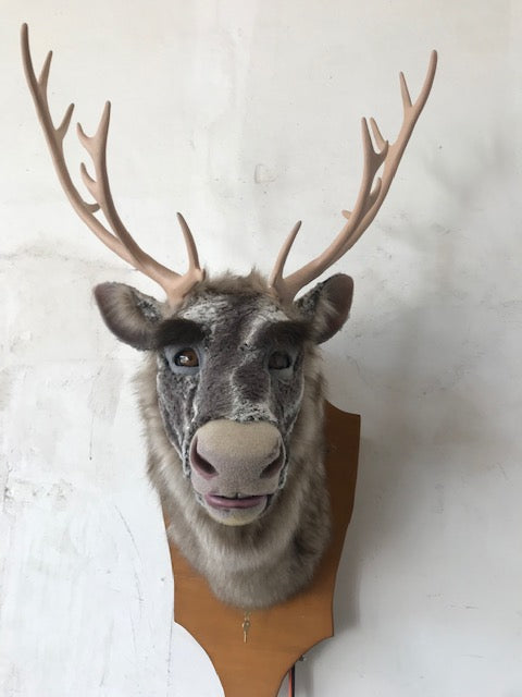 sprechender Rentierkopf mit 10 Bewegungsfunktionen.