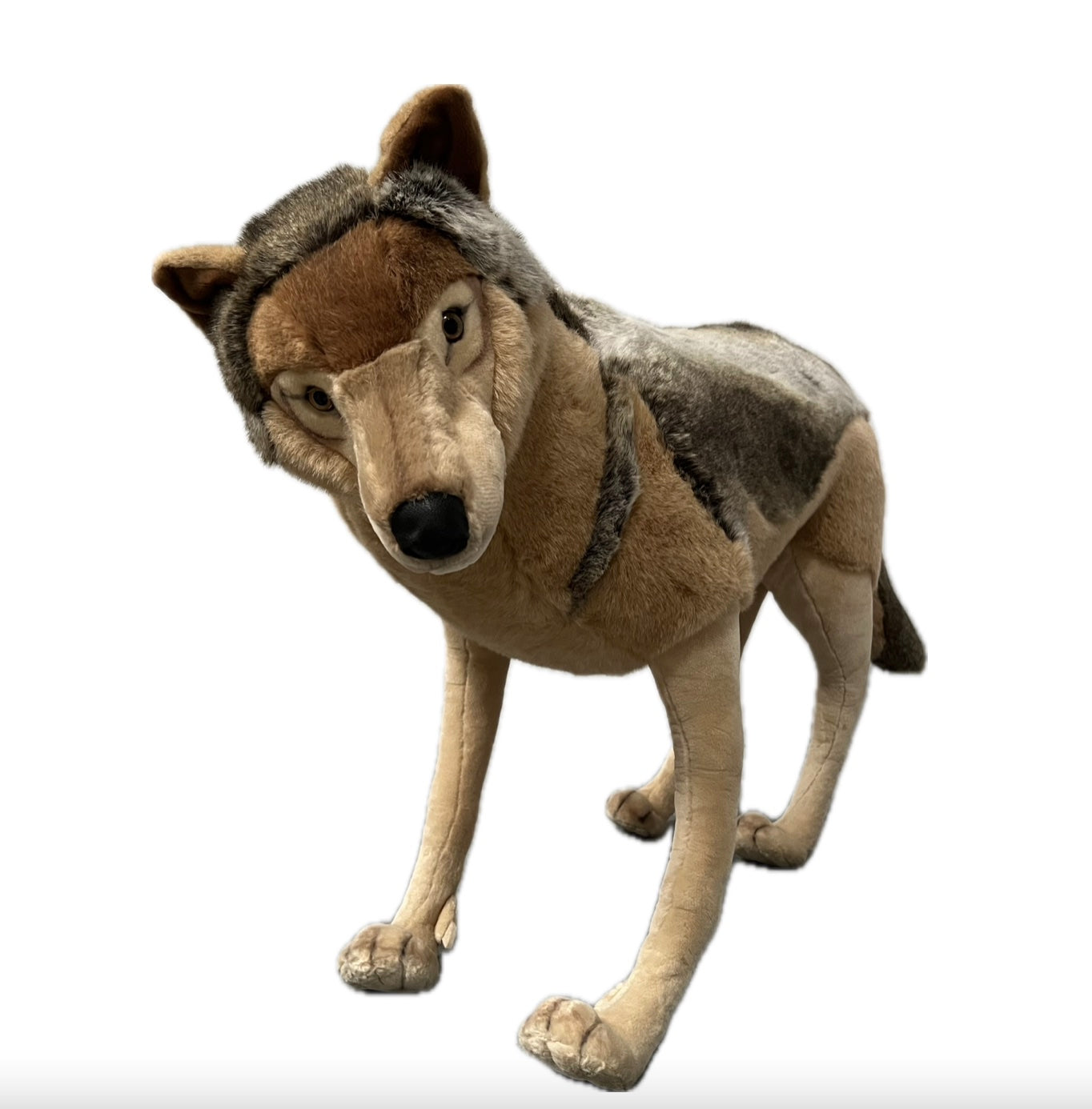 Wolf 90 cm (ohne Bewegung)